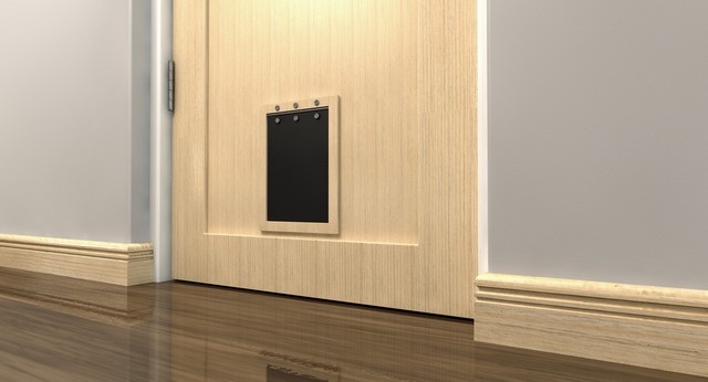 Cat Flap Installation Weybridge, Oatlands, KT13