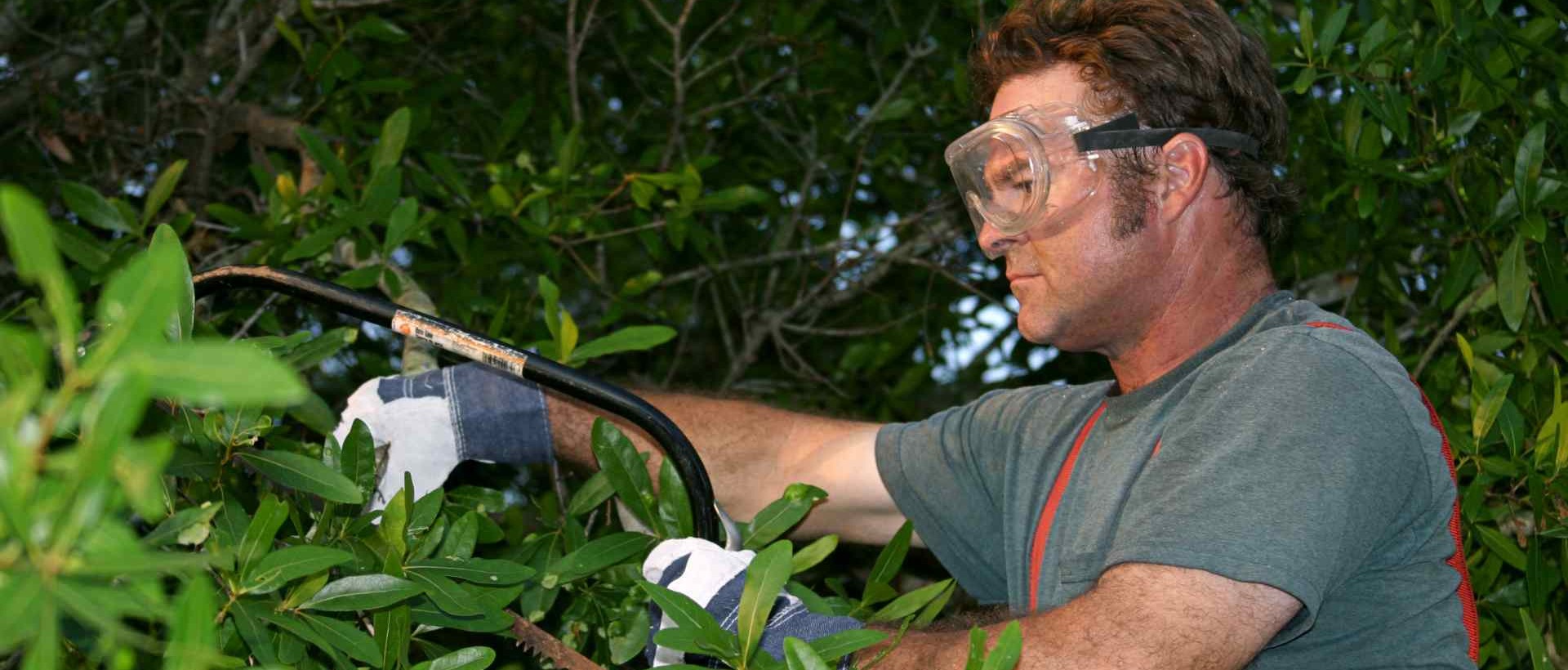 garden clearance KT13